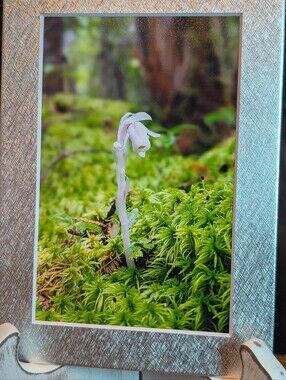 Silver Textured Photo Frame with White Mat